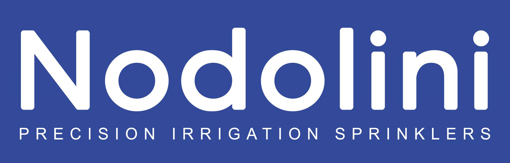 Nodolini logo
